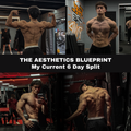 The Aesthetics Blueprint - My 6 Day Split
